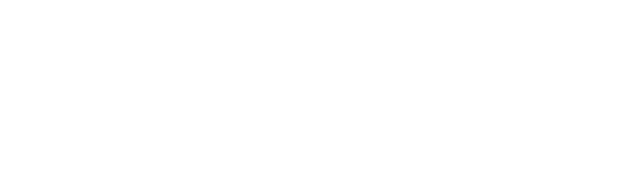 AI Nigeria